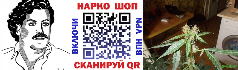 Сколько стоит Нахабино omg tor Меф мяу мяу Амфетамин СОЛЬ ГАШ Cocaine Канабис