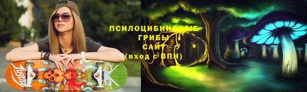 индика Богданович