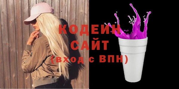 индика Богданович