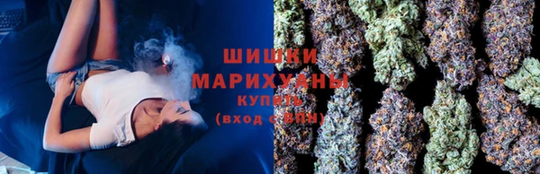 индика Богданович