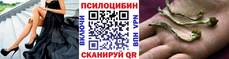 хочу наркоту  Нахабино  OMG tor  Галлюциногенные грибы мухоморы 